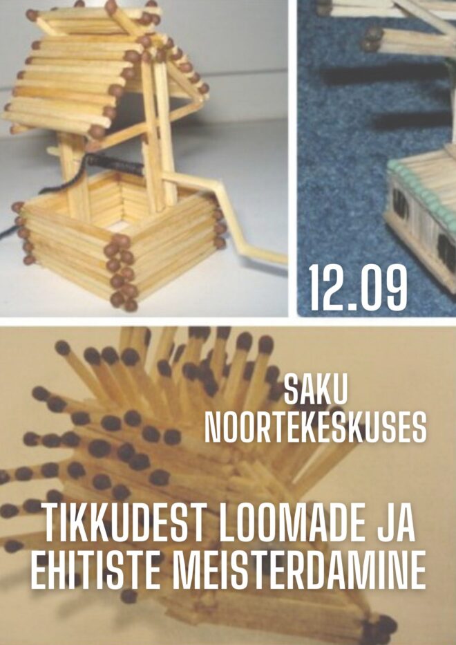 Tikkudest loomade ja ehitiste meisterdamine